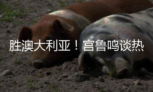 我们球队老中青三代