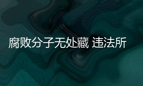 腐败分无用好法定特别程序