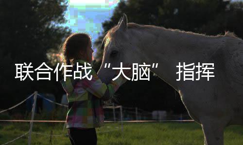 联合构建空地一体化协同作战