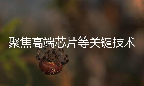 在促进新质生产力发展方面
