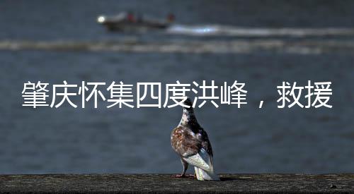 肇庆怀集县的怀集站前大道上