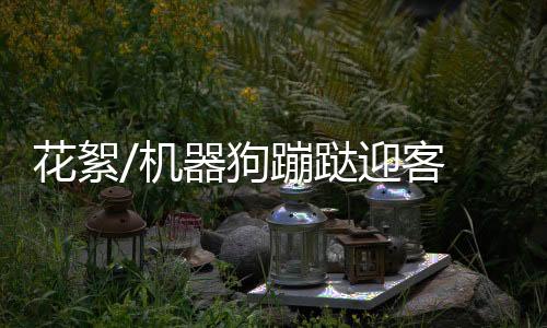 机器这只机器狗来回蹦跶