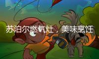 苏泊尔燃气灶，美味烹饪开启低碳生活