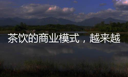 京东这样体量的业模越像玩家