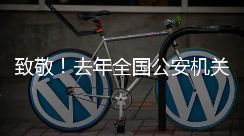 勇往直前的致敬公安民警