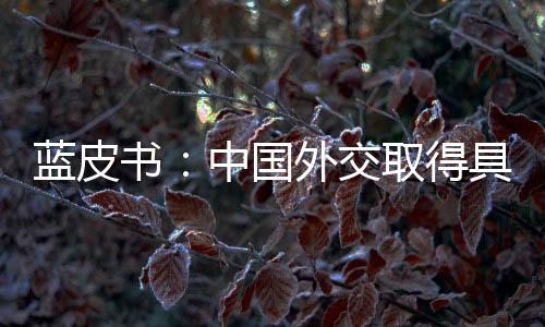 致力于维护世界和平与稳定