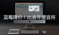 快排公司十年历程，霸屏兔 seo 的崛起与坚守