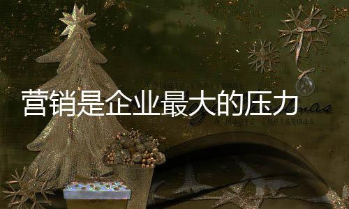 所以对小家电企业来讲