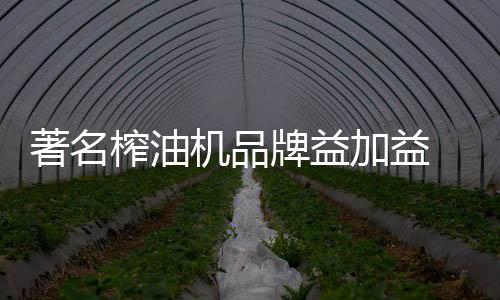 机品加益如果能开一家油坊