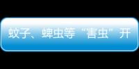 蚊子
、蜱虫等“害虫”开始活跃	，这份防虫全攻略请收好
