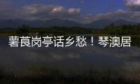 薯莨岗亭话乡愁	
！琴澳居民共绘客家风情画卷