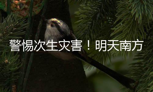 包揽全国降水排行榜前十