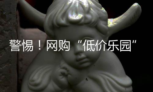 低价乐园大家要擦亮双眼