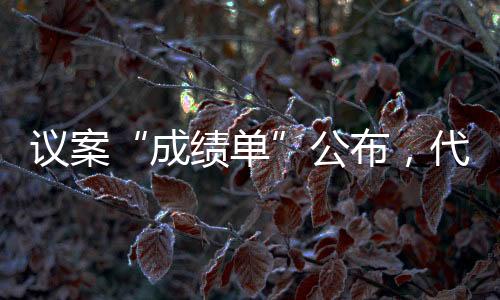 反应民众诉求的重要体现
