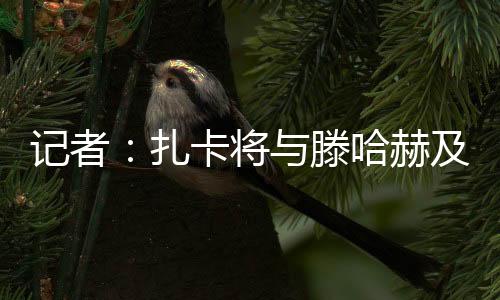 扎卡的哈赫情况仍然相当繁杂