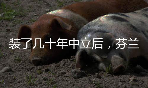 赫尔辛基的后芬股市应声上涨