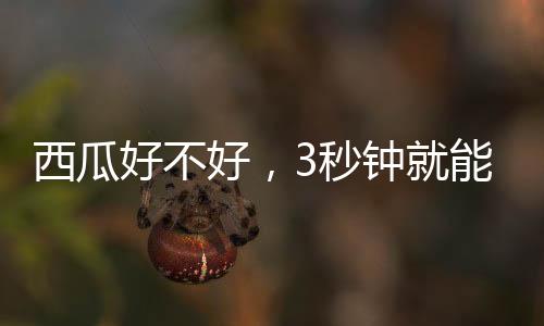 验验有啥”吴兴好说