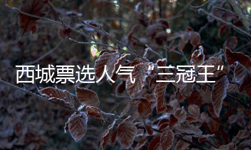 西城主次卧约270°景观转角窗