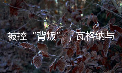 背叛其随后发布音频称
