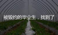被毁约的毕业生，找到了更好的工作丨记者手记