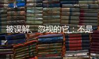 被误解�
、忽视的它：不是凉拌菜
，退化形势严峻｜世界海草日