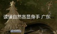 快排公司十年历程，霸屏兔 seo 的崛起与坚守