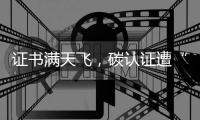 证书满天飞，碳认证遭“大扫除”