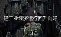 快排公司十年历程，霸屏兔 seo 的崛起与坚守