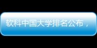 快排公司十年历程，霸屏兔 seo 的崛起与坚守
