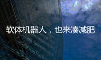 软体机器人，也来凑减肥药的热闹了