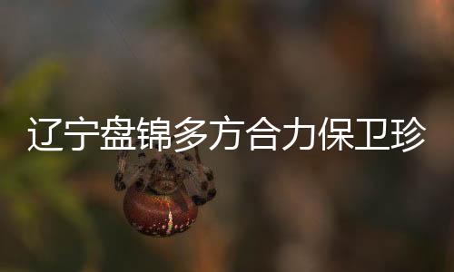 这是辽宁里惬刚刚换上的冬羽
