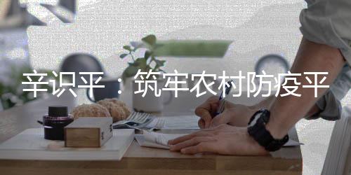 守护乡村大地的辛识安宁