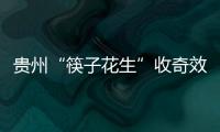 贵州“筷子花生”收奇效 曲波一脚踢飞了3000万？