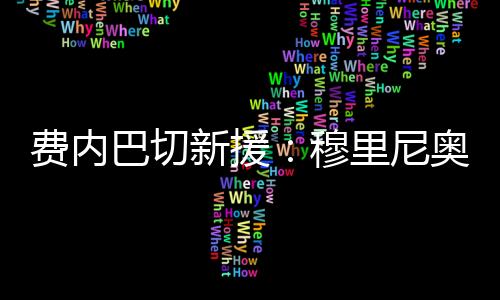 尼奥我只能这样描述