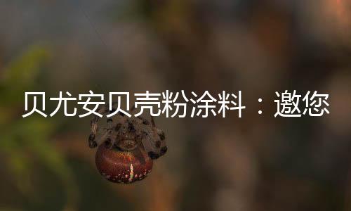 贝尤代表新的安贝机遇