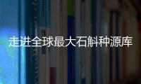 走进全球最大石斛种源库：探索野生石斛种质资源异地保护