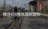 赠送450株优质树苗和花苗，珠海城管部门助力茂名美丽乡村建设