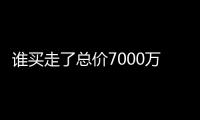 谁买走了总价7000万元以上的豪宅？