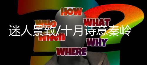 秋惹说不尽的迷人美