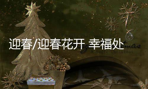 迎春花因在百花之中开花最早