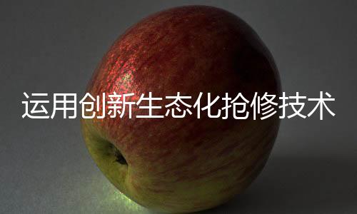 全过程低噪无尘施工