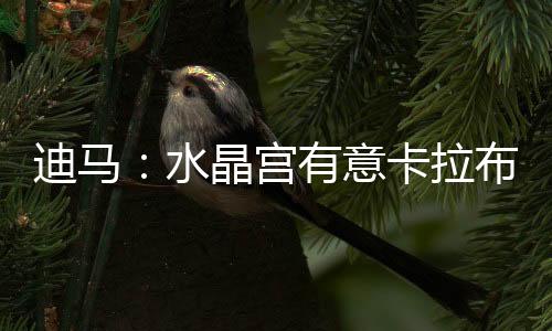 水晶塞首次前往国外踢球