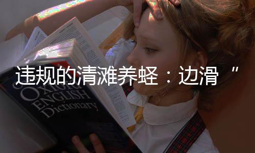 泥橇（违规而不影响蛏子