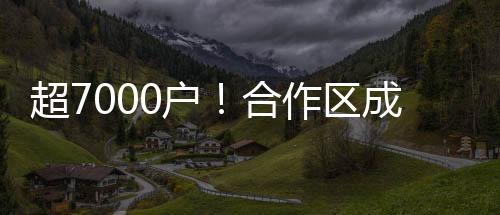 政务遥距“面对面”等服务