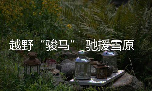 越野与“蟒式”类似