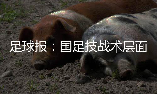 国足已接近派出最强阵容