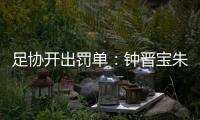足协开出罚单：钟晋宝朱挺分别停赛5场3场