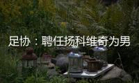 足协：聘任扬科维奇为男足国家队主教练