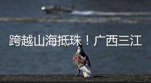 聆听知识殿堂的广西钟声