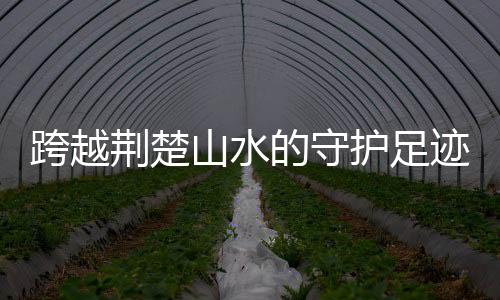干活的荆楚迹快心情都好了